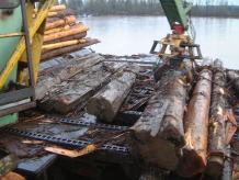 �J�i�_���ލH��ł̃E�F�X�^�����b�h�V�_�[�ۑ����ޕ��i